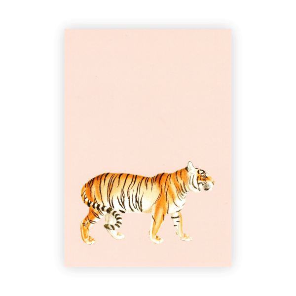 30x40 Postkarte A6 Tiger